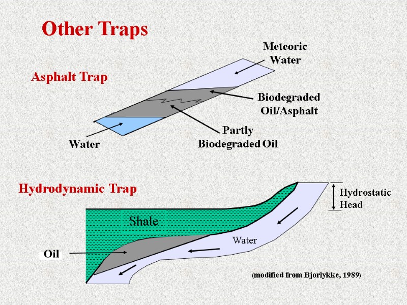 Asphalt Trap Water Meteoric Water Biodegraded Oil/Asphalt Partly Biodegraded Oil Hydrodynamic Trap Shale Water